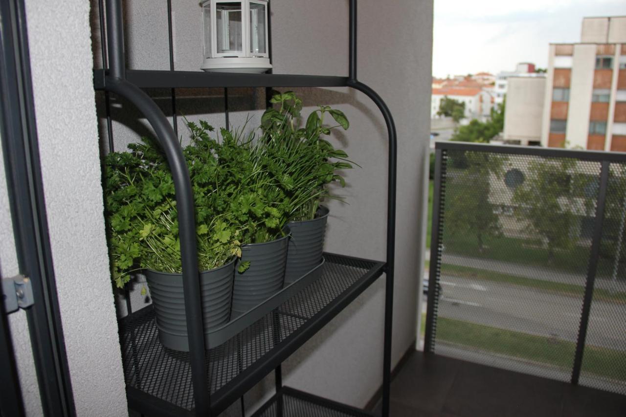 Sea Sun & Me Apartment Koper Exteriér fotografie